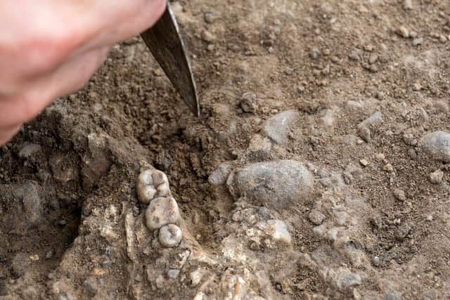 Charcoal samples from a circular ditch under the mound last week returned unexpected dates of approximately 400AD-500AD. The charcoal was mixed with fragments of burnt animal bones and flint.