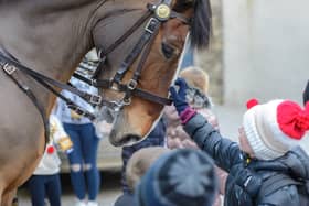 Waterford Winterval events cancelled today due to weather warning