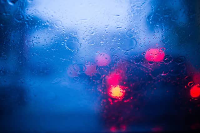 A number of tress have fallen on the N24 outside Carrick-on-Suir, County Tipperary