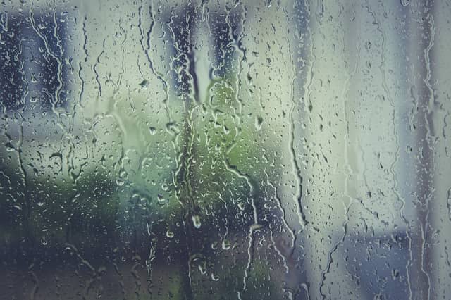 Wicked Woods in Waterford has been cancelled for Friday