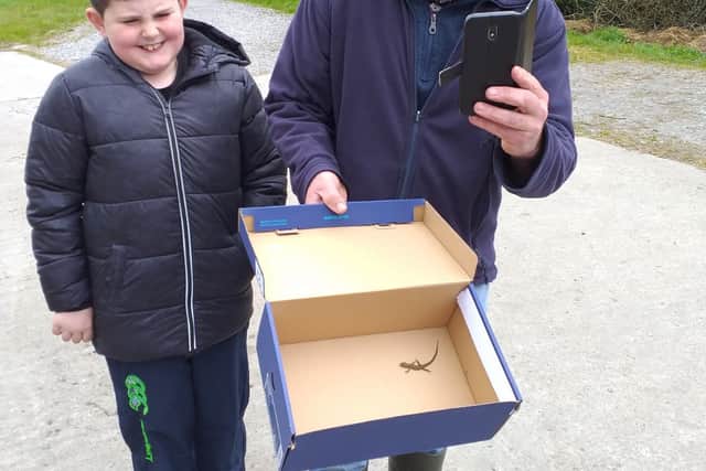 “Once in the box, we brought it over to a marshy wet part of the land where we thought would be better suited for it.”