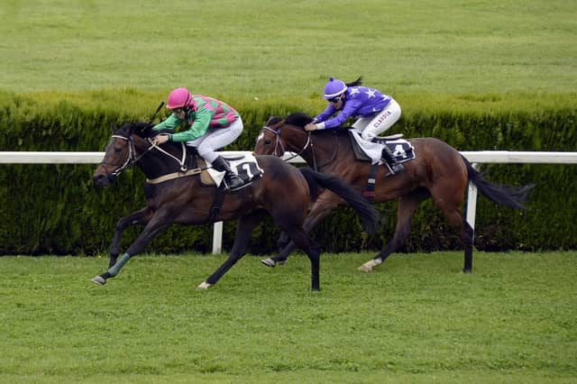 2020 Irish horse racing fixture list announced
