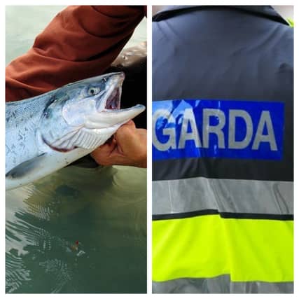 Inland Fisheries Ireland warns anglers of rogue fishing license website