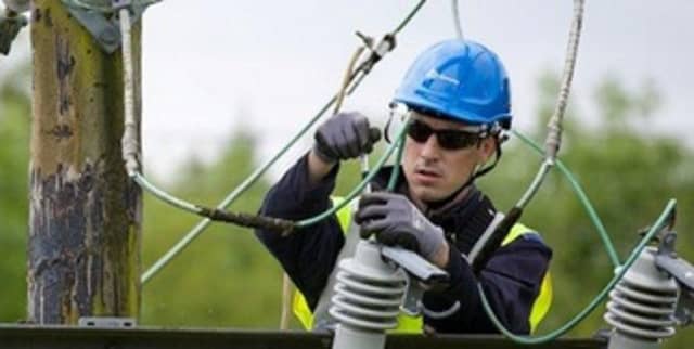 housands of Waterford homes and businesses were left without power after a bird strike