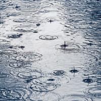 Waterford braced for ‘intense rain’ of Storm Austen as advice issued to public
