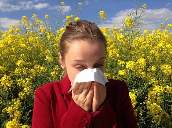 Vital people in Tipperary check out essential daily Pollen Tracker during hot spell - Asthma Society