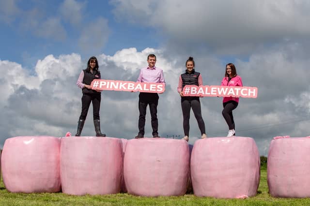 Waterford farmers urged to have pink bales in aid of charity