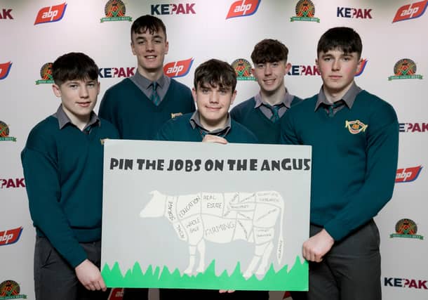 CBS Dungarvan students at Croke Park