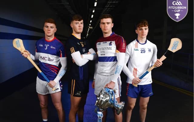 Waterford to play host to highly-anticipated Fitzgibbon Cup final