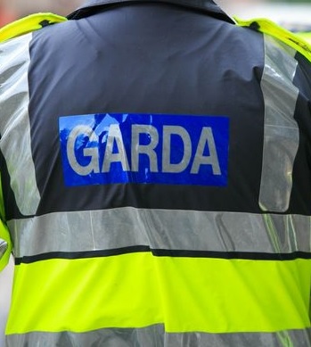 Waterford Garda Drugs Unit seize over €140k worth of cannabis plants