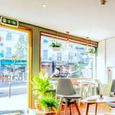 Waterford's 'cannabis café' cleared to re-open following plant testing