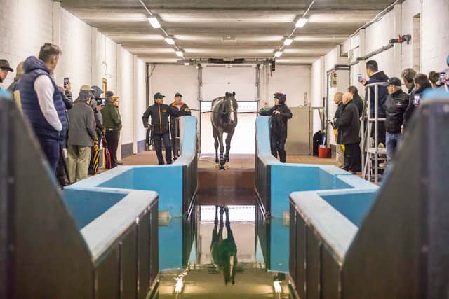 This initiative was kindly supported by the Racehorse Ownership Department at Horse Racing Ireland (HRI). A wonderful day was had by all, and Eoin Griffin and all the team at Beacon Hill Racing Stables would like to sincerely thank everyone who attended their open day and HRI for its support also. Goffs and Red Mills mementos were kindly presented to guests on the day which was much appreciated also.