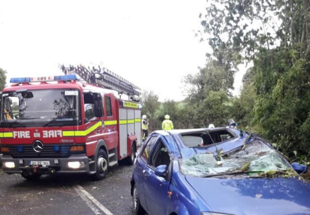The weather was the big story of the week - Storm Ali left its mark on the country with two deaths, 240,000 people without power, hundreds of trees down and roads blocked. Indeed here in Offaly, a woman in her 70s had a lucky escape after a tree fell on her car in Clara as thousands of cars lined routes to the Ploughing on Wednesday morning. Whether this woman was on her way to the Ploughing or not is irrelevant; the accident shows the danger that was present, not only on the nation's roads, but on roads a matter of miles from the Ploughing site itself. 