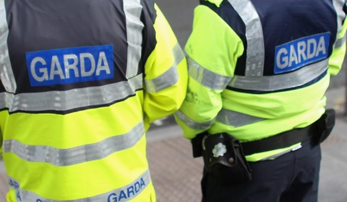 The two Gardaí received treatment in hospital for injuries sustained during the incident and have since been discharged