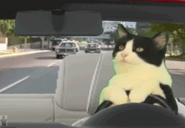 1. The person on top of the steering wheel...