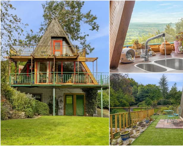 IN PICTURES: Unique four-bed 'treehouse' hits the market for €435,000 in Laois