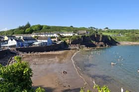 The service is being suggested for Dunmore East amid an influx of visitors