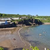 The service is being suggested for Dunmore East amid an influx of visitors