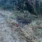 The scene of the fire on the Ballinakill Riverwalk