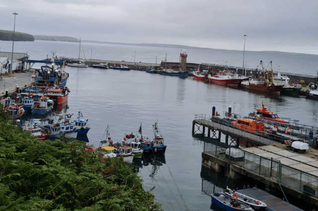 Calls have been made for increased investment in Dunmore East Harbour