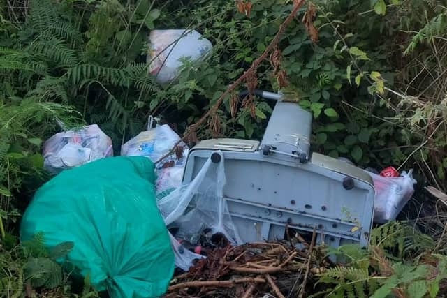 The illegal dumping in question