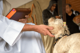 Families and pet owners are invited to attend the event