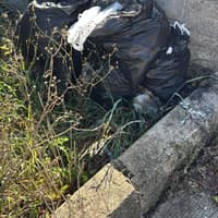 Hundreds of complaints made over illegal dumping in Waterford city so far this year