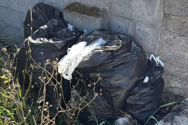 Bags of rubbish that were recently dumped in the Dominic’s Place area of Waterford city