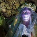 The event will feature award-winning Spraoi performers