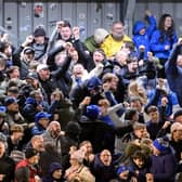 Waterford fans celebrate after Tommy Lonergan put their side 2-0 up against Bohemians in the FAI Cup semi-final