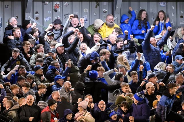 Waterford fans celebrate after Tommy Lonergan put their side 2-0 up against Bohemians in the FAI Cup semi-final