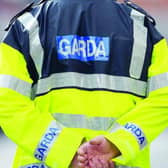 Gardaí have issued an update on their murder investigation  