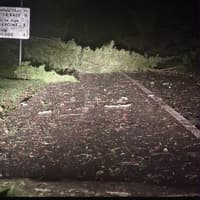 Trees down and flooding reported in Waterford as Storm Austen hits overnight