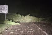 A tree fell and was blocking the road between Applegreen Passage Cross and Jack Meades Bar this morning