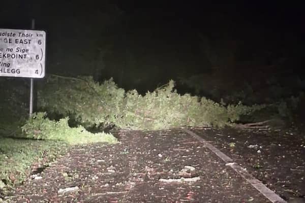 A tree fell and was blocking the road between Applegreen Passage Cross and Jack Meades Bar this morning