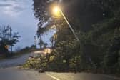 A tree has fallen onto a streetlight in Dunmore East