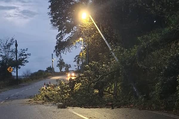 A tree has fallen onto a streetlight in Dunmore East