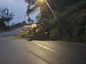 A tree has fallen onto a streetlight in Dunmore East