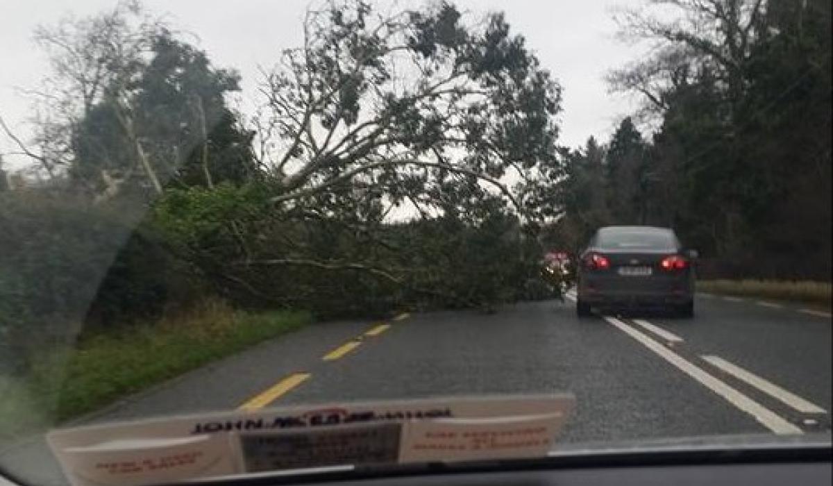 Alert: Met Eireann pinpoints when status yellow wind warning is set to hit Waterford