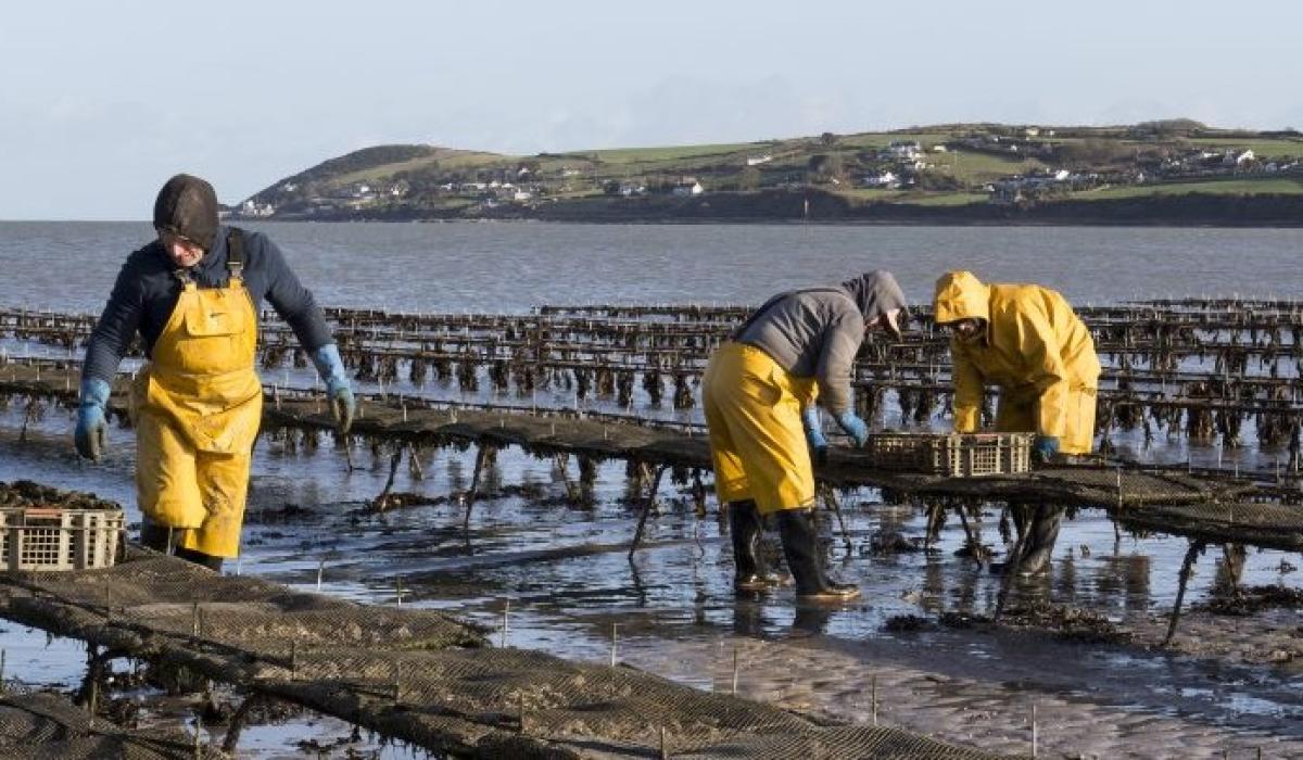 ‘World class’ - Popular Waterford enterprise celebrates 35 years in business