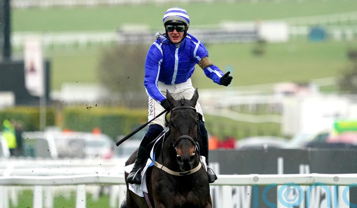 Waterford trainer Henry de Bromhead looks to Magic Daze to take on