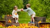 Harvest Festival 2025: Five fun things for kids and families to do in Waterford this weekend