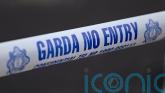 Man dies following road crash in Co Westmeath