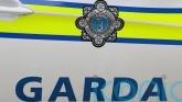 Woman injured in Co Clare road crash dies in hospital