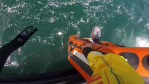 WATCH: Dunmore East RNLI rescues dog after a 30m cliff fall