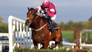 Cheltenham Festival Tips: Wednesday's top picks