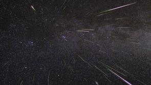 Waterford sky to light up tonight with spectacular meteor shower 