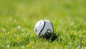 Permission granted for development of Waterford hurling club