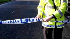 Gardaí renew appeal on fatal Waterford hit and run 40 years on 