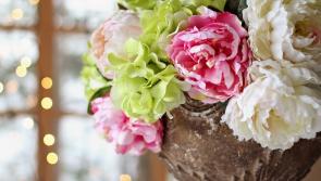 Waterford Deaths & Funerals (May 11)